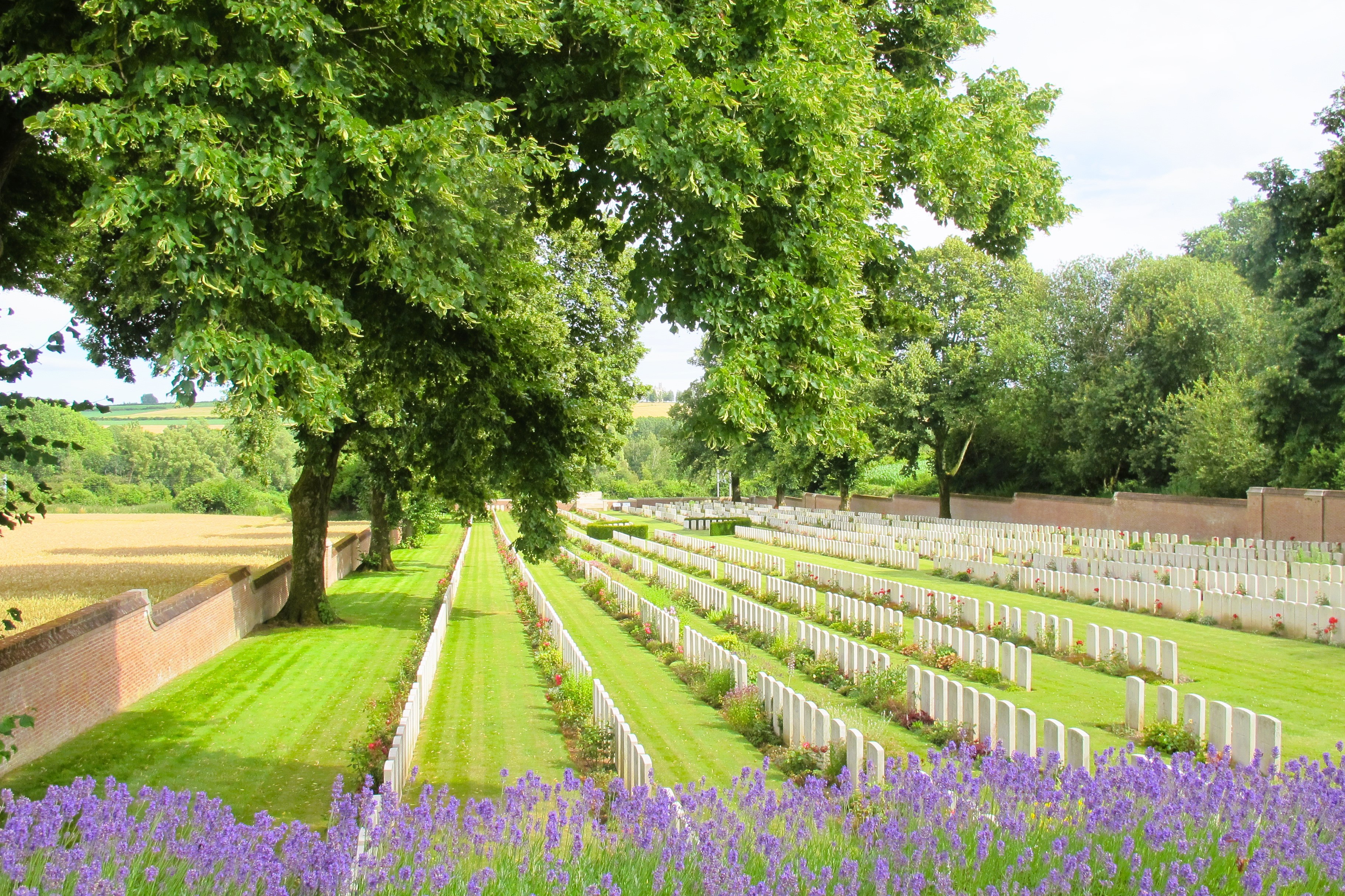 Acre cemetery with lavender at the front