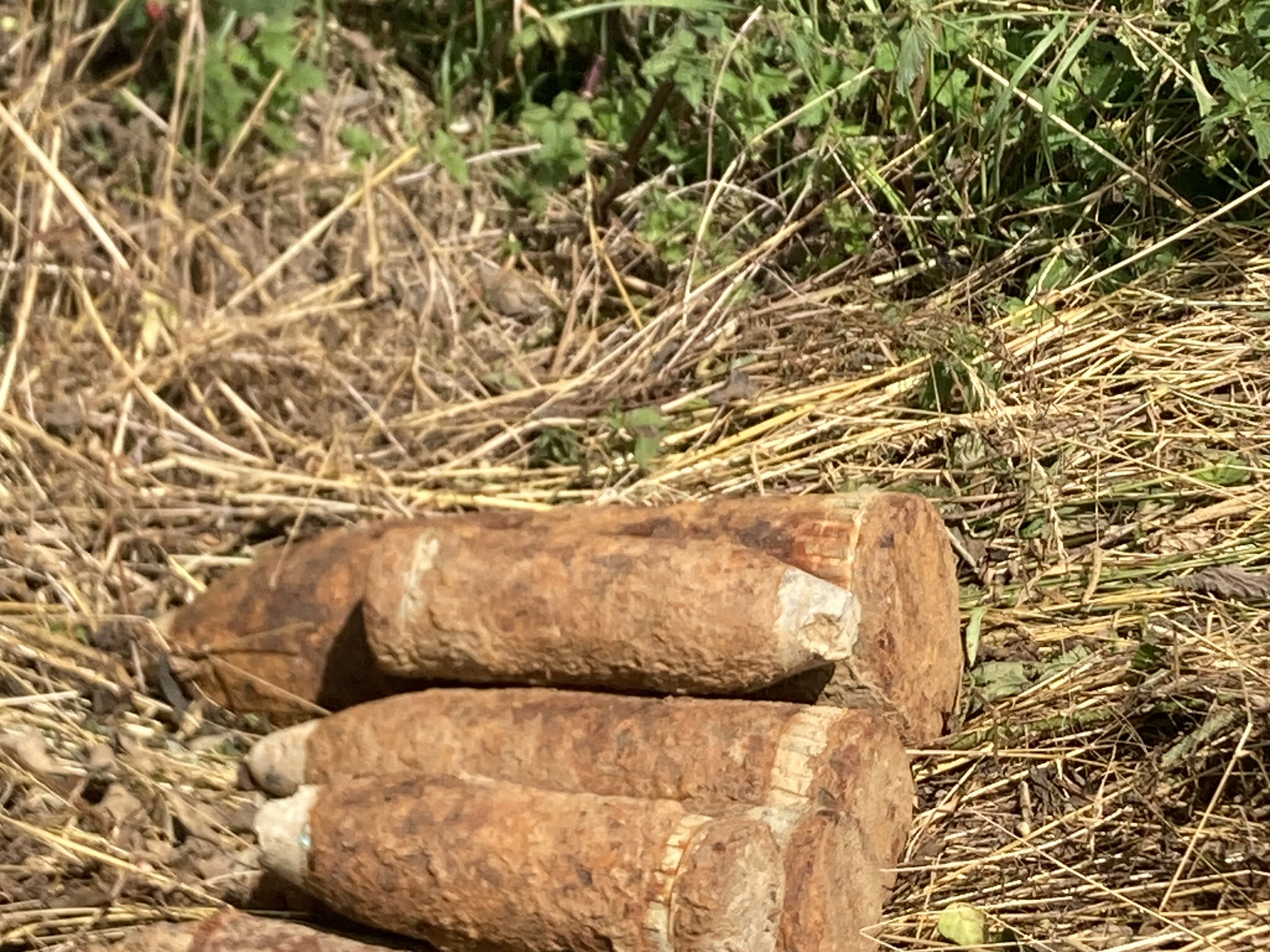Rusty ammunition for collection
