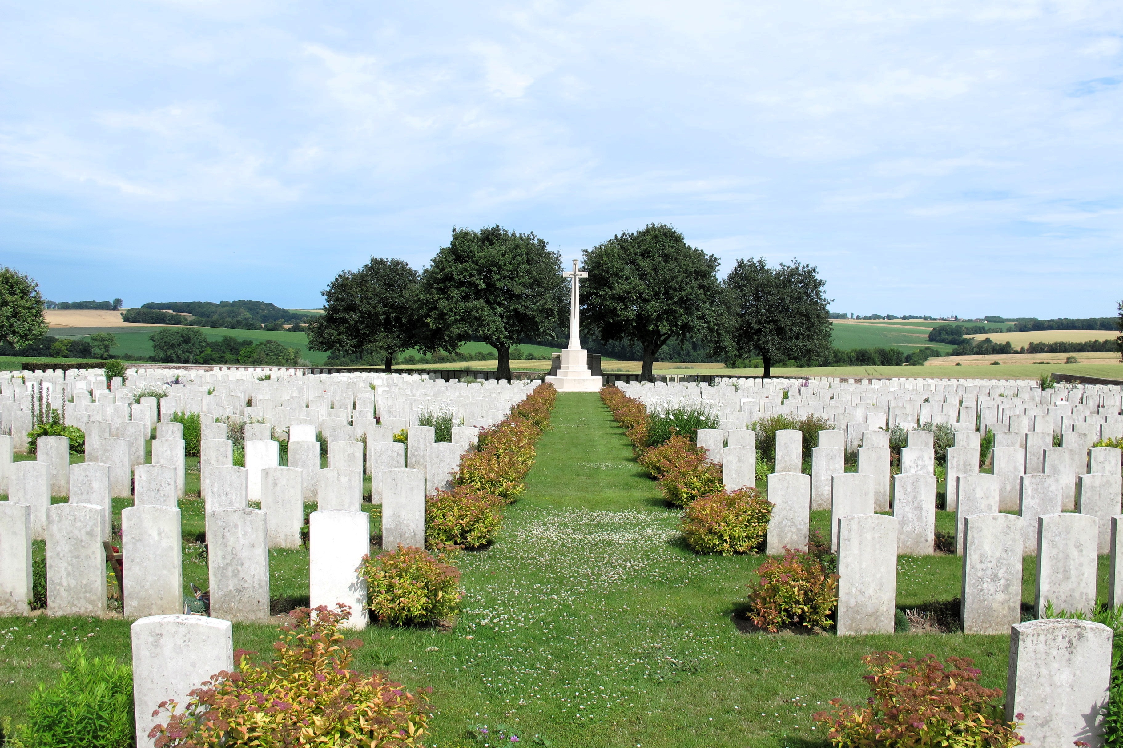 main-axis-1.jpg